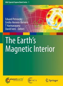 The Earth's Magnetic Interior