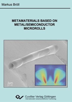 Metamaterials based on Metal/Semiconductor Microrolls - Bröll, Markus