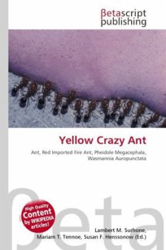 Yellow Crazy Ant