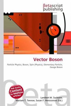 Vector Boson