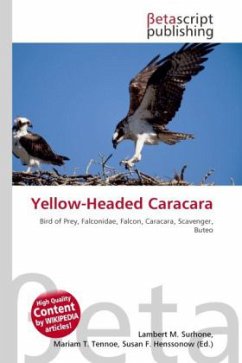 Yellow-Headed Caracara