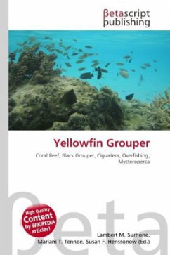 Yellowfin Grouper