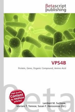 VPS4B Cover VPS4B
