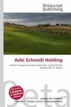 Aebi Schmidt Holding