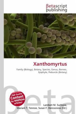 Cover Xanthomyrtus