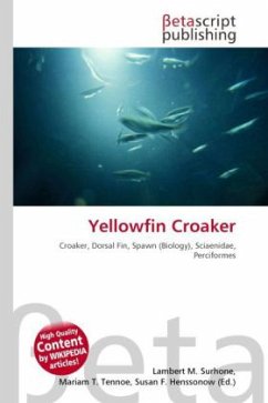 Yellowfin Croaker