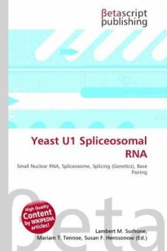 Yeast U1 Spliceosomal RNA