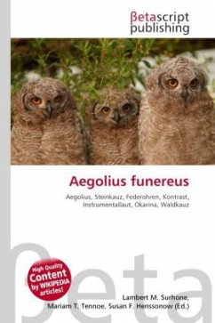 Aegolius funereus