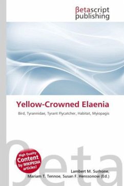 Yellow-Crowned Elaenia