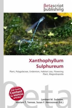 Xanthophyllum Sulphureum