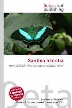 Cover Xanthia Icteritia
