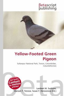 Yellow-Footed Green Pigeon