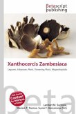 Xanthocercis Zambesiaca