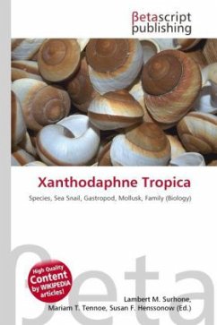 Xanthodaphne Tropica