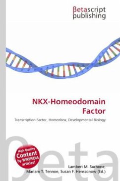 NKX-Homeodomain Factor Cover NKX-Homeodomain Factor