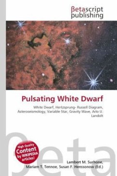 Pulsating White Dwarf