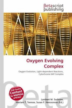 Oxygen Evolving Complex