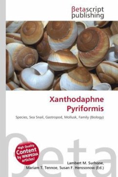 Cover Xanthodaphne Pyriformis