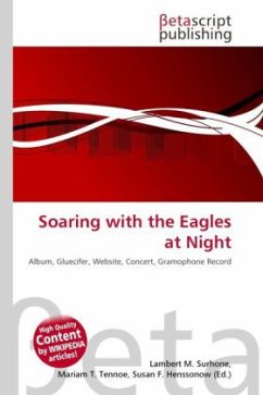 Soaring with the Eagles at Night