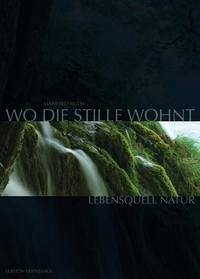 Wo die Stille wohnt