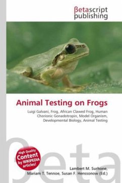 Animal Testing on Frogs