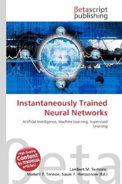 Instantaneously Trained Neural Networks