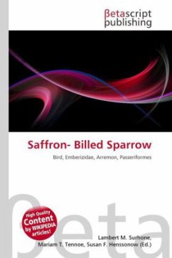 Saffron- Billed Sparrow