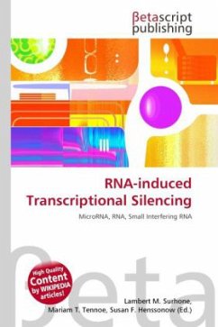 RNA-induced Transcriptional Silencing