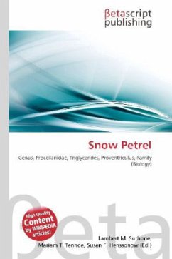 Snow Petrel