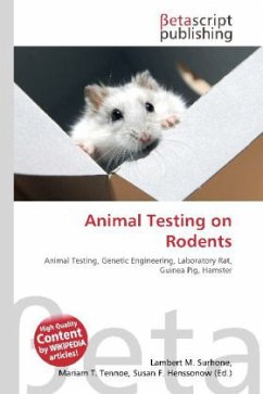 Animal Testing on Rodents
