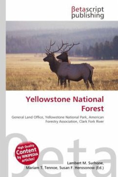 Yellowstone National Forest