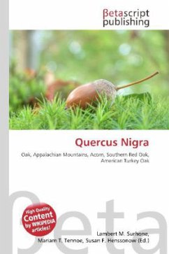 Quercus Nigra