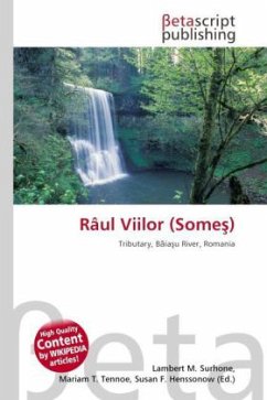 Râul Viilor (Some )