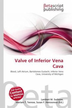 Valve of Inferior Vena Cava