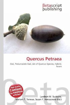 Quercus Petraea