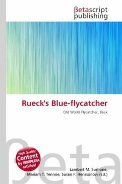 Rueck's Blue-flycatcher