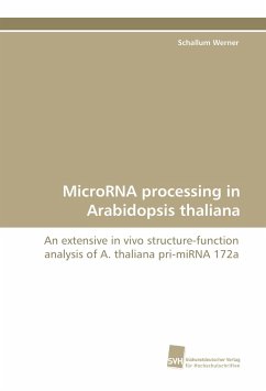 MicroRNA processing in Arabidopsis thaliana - Werner, Schallum