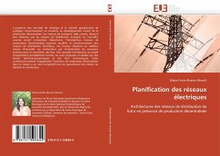 Planification des réseaux électriques - Alvarez-Hérault, Marie-Cécile