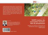 NADPH oxydase des neutrophiles humains: Rôle de phosphatases