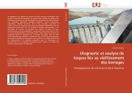 Diagnostic et analyse de risques liés au vieillissement des barrages