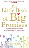 The Little Book of Big Promises: A Three-Step Process for Uncovering Your Soul's Plan. Peggy Rometo