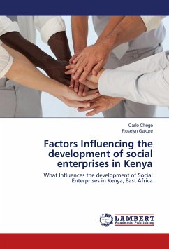 Factors Influencing the development of social enterprises in Kenya