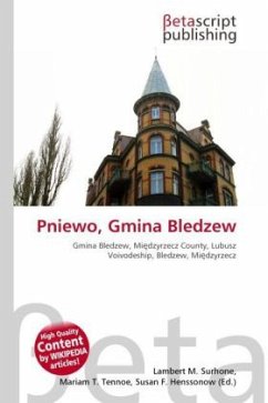 Pniewo, Gmina Bledzew