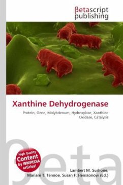 Xanthine Dehydrogenase