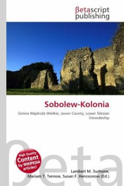 Cover Sobolew-Kolonia