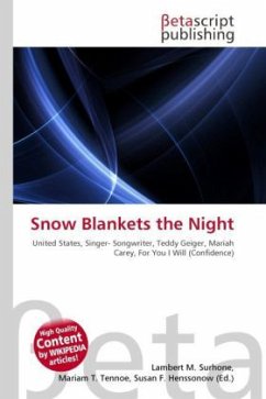 Snow Blankets the Night