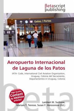 Aeropuerto Internacional de Laguna de los Patos