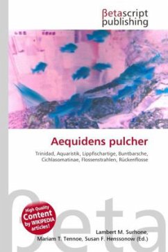Aequidens pulcher
