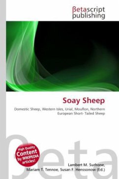 Cover Soay Sheep