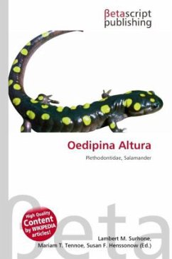 Cover Oedipina Altura